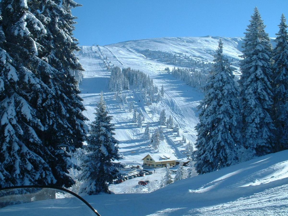 Feriendorf Koralpe Alpenrose Frantschach Ngoại thất bức ảnh